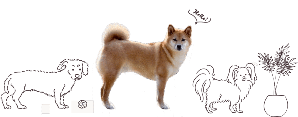 chien mignonイメージ